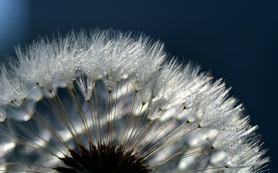 Impending Springtime, Hay-Fever & Air Purifiers