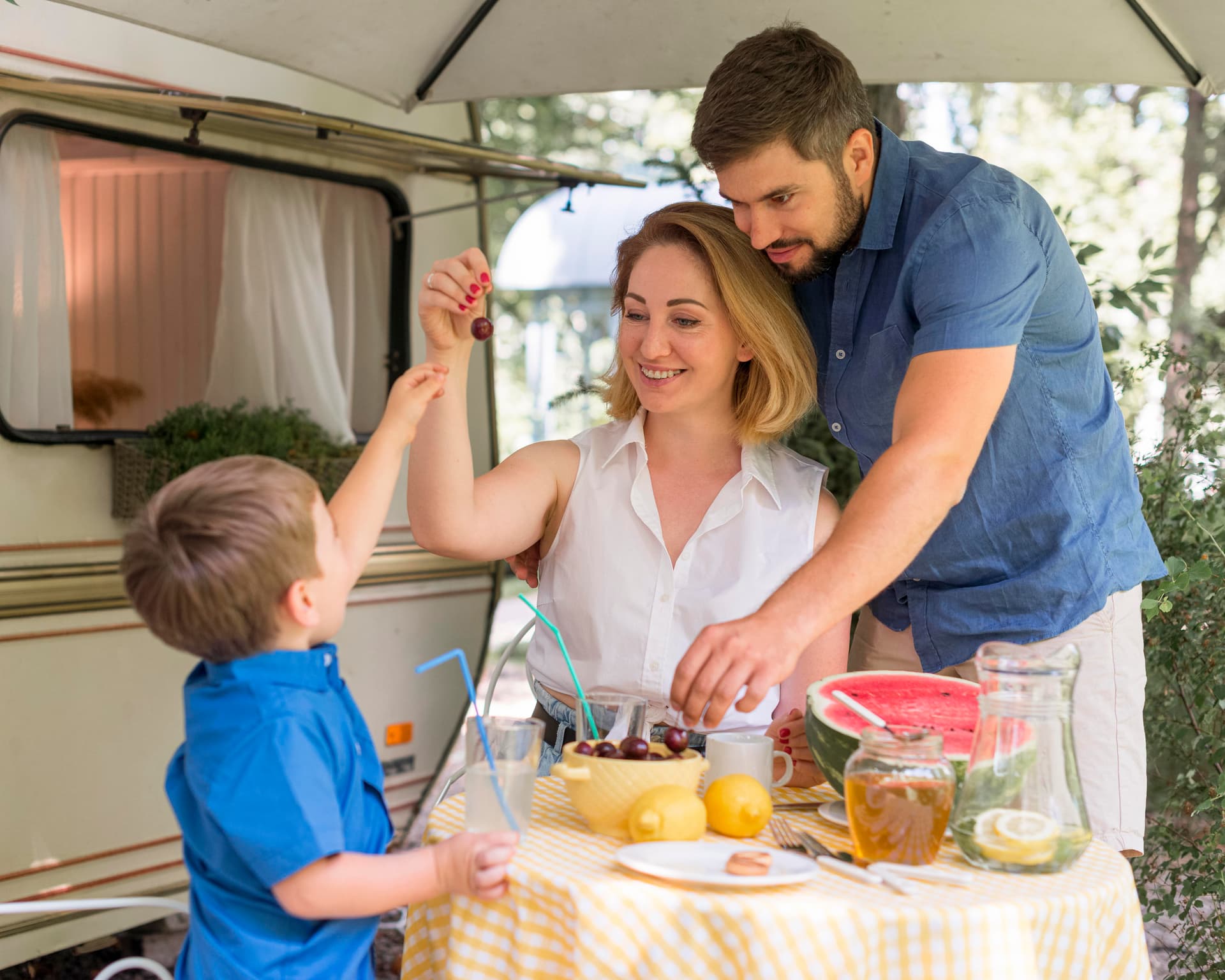 Why do you need a 12 V portable fridge freezer?