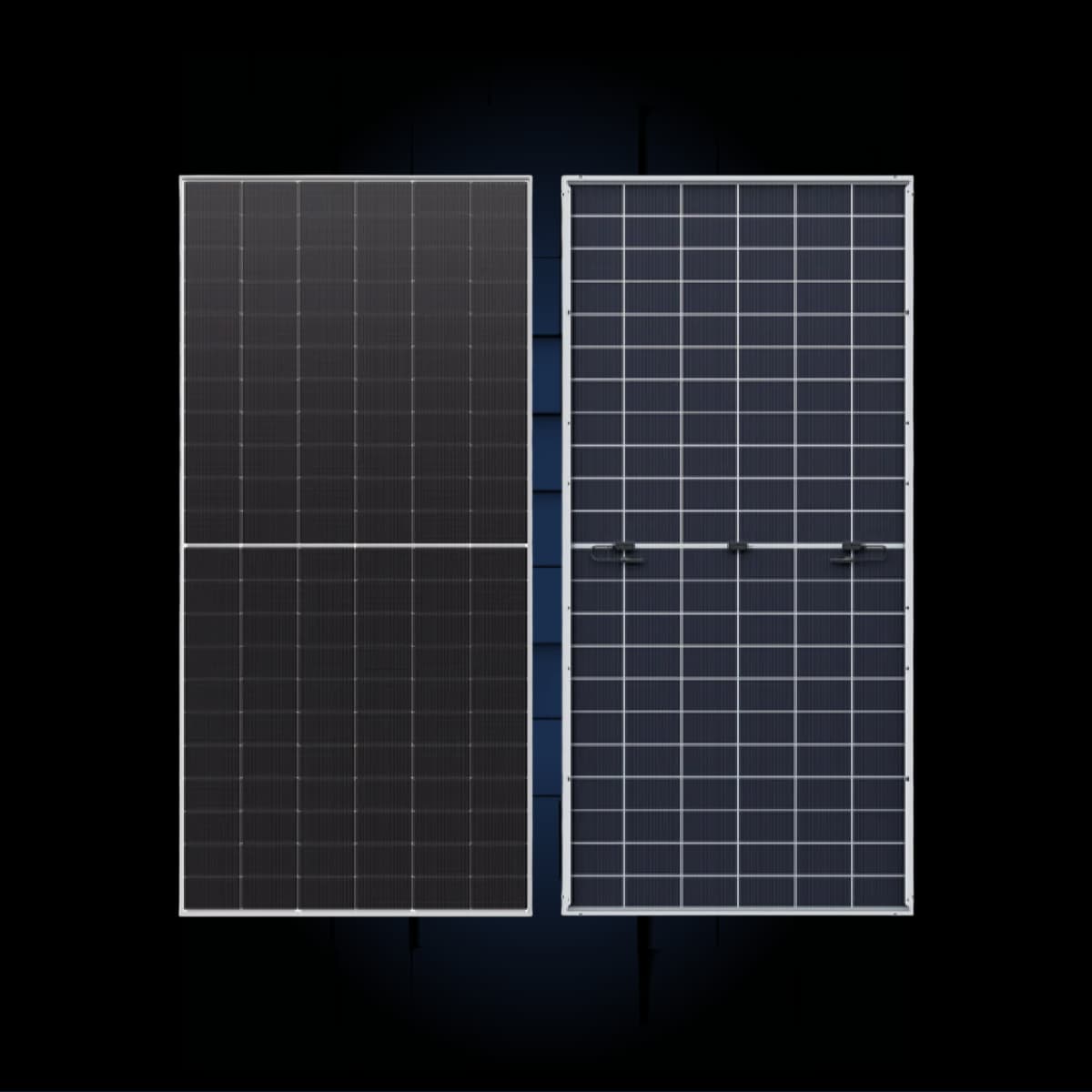 Longi Bi-Facial Dual Glass Solar Panel