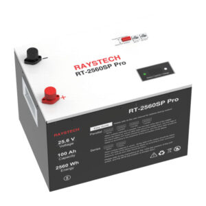 Raystech-100Ah-Battery-RT-2560SP-PRO