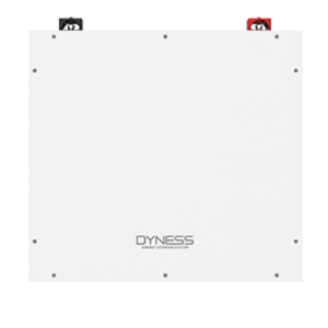 Dyness 5.12kWh 100Ah LiFePo4 Lithium Ion Battery – DYN-DL5.0-1C